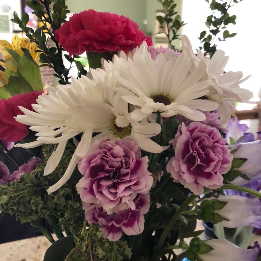 Meet your Posher, Noreen